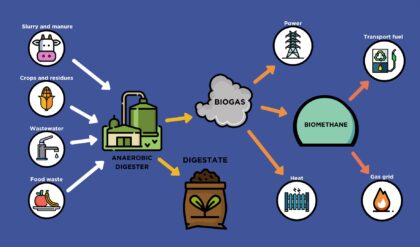 What is Meant by Anaerobic Digestion Processes?